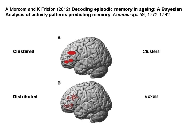A Morcom and K Friston (2012) Decoding episodic memory in ageing: A Bayesian Analysis