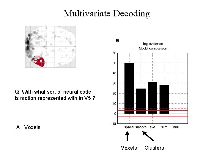 Multivariate Decoding Q. With what sort of neural code is motion represented with in