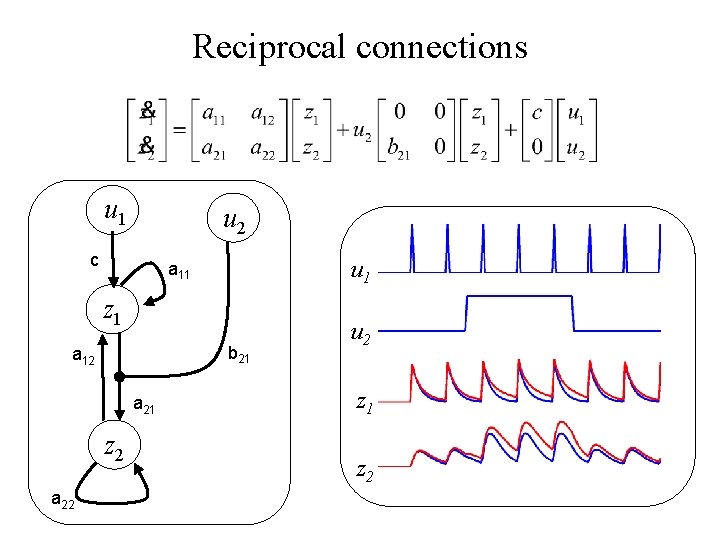 Reciprocal connections u 1 u 2 c u 1 a 11 z 1 b