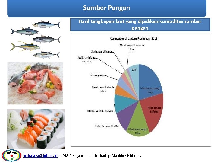 Sumber Pangan Hasil tangkapan laut yang dijadikan komoditas sumber pangan indrajaya@ipb. ac. id. –