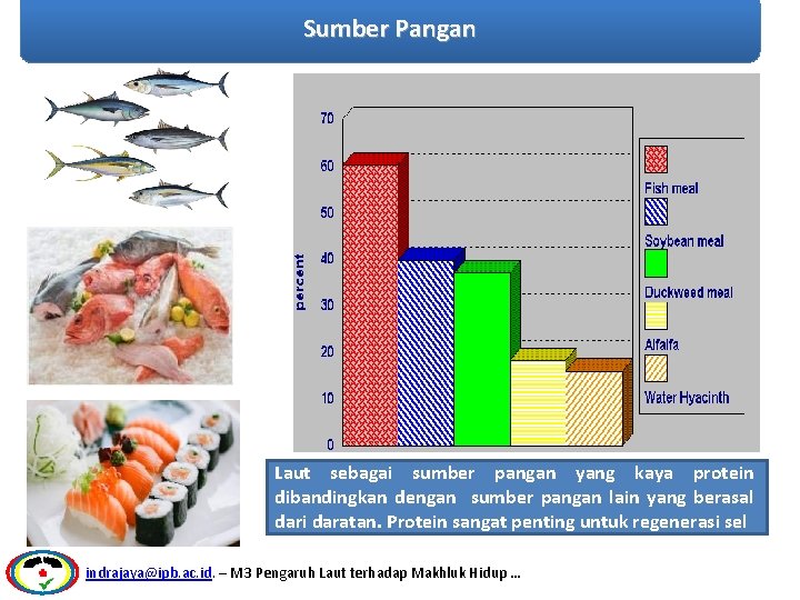 Sumber Pangan Laut sebagai sumber pangan yang kaya protein dibandingkan dengan sumber pangan lain