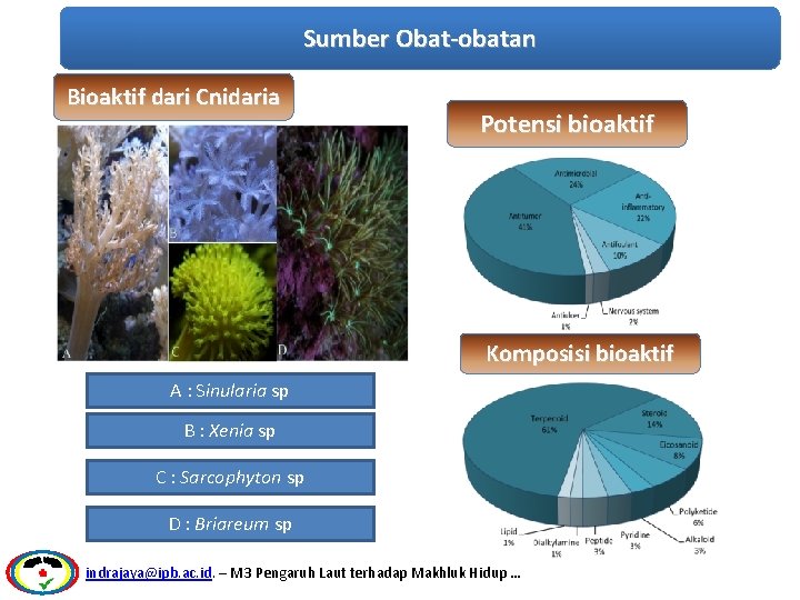 Sumber Obat-obatan Bioaktif dari Cnidaria Potensi bioaktif Komposisi bioaktif A : Sinularia sp B