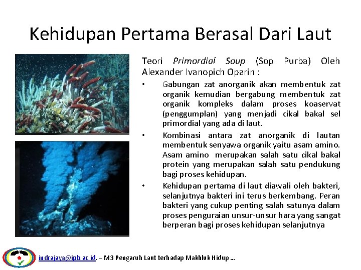 Kehidupan Pertama Berasal Dari Laut Teori Primordial Soup (Sop Purba) Oleh Alexander Ivanopich Oparin