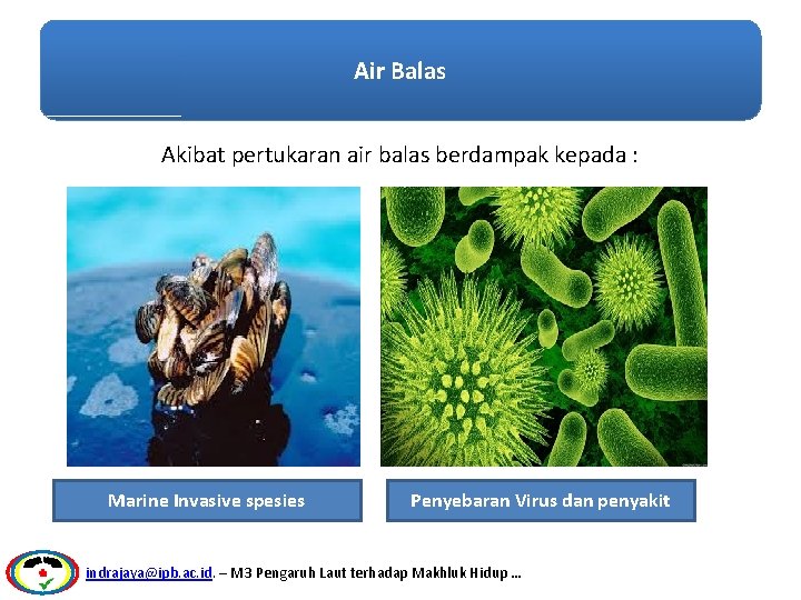 Air Balas Akibat pertukaran air balas berdampak kepada : Marine Invasive spesies Penyebaran Virus