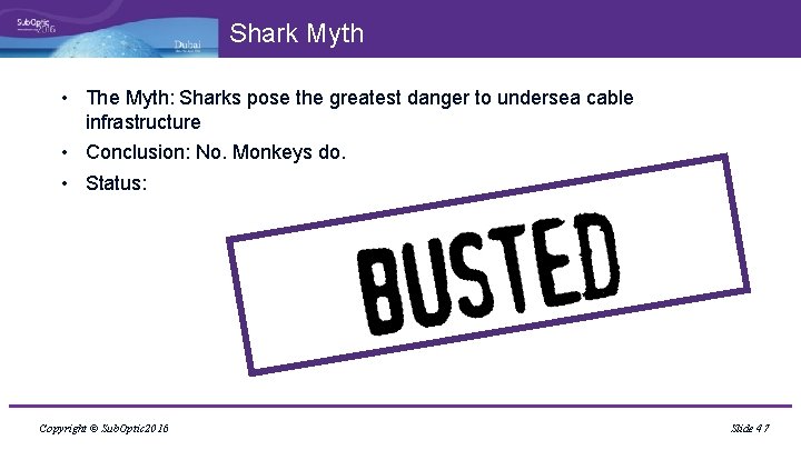 Shark Myth • The Myth: Sharks pose the greatest danger to undersea cable infrastructure