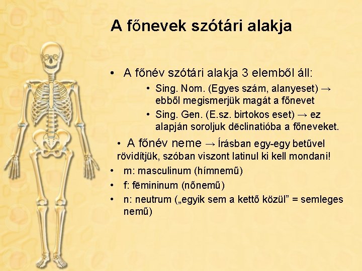 A főnevek szótári alakja • A főnév szótári alakja 3 elemből áll: • Sing.