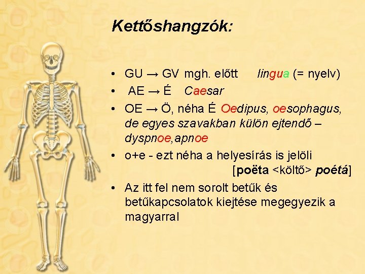 Kettőshangzók: • GU → GV mgh. előtt lingua (= nyelv) • AE → É