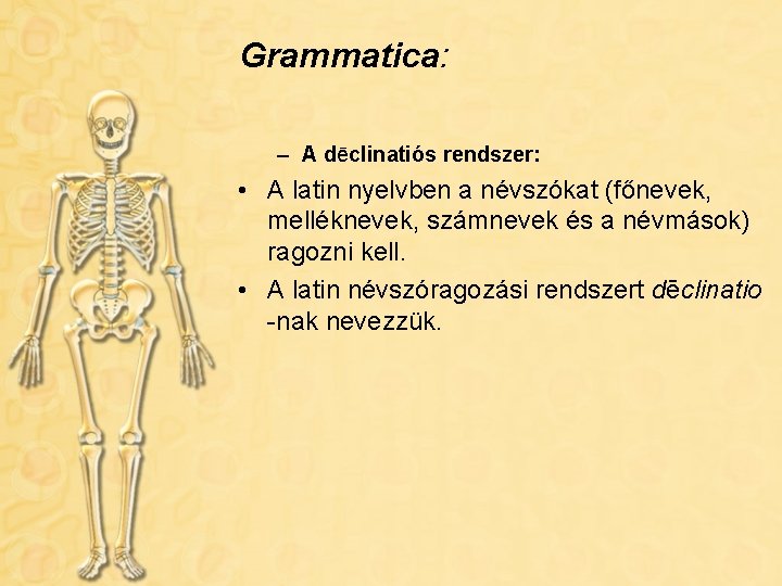 Grammatica: – A dēclinatiós rendszer: • A latin nyelvben a névszókat (főnevek, melléknevek, számnevek