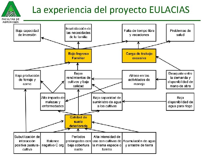 La experiencia del proyecto EULACIAS FACULTAD DE AGRONOMÍA 