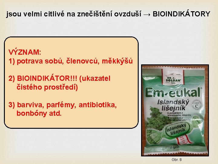 jsou velmi citlivé na znečištění ovzduší → BIOINDIKÁTORY VÝZNAM: 1) potrava sobů, členovců, měkkýšů