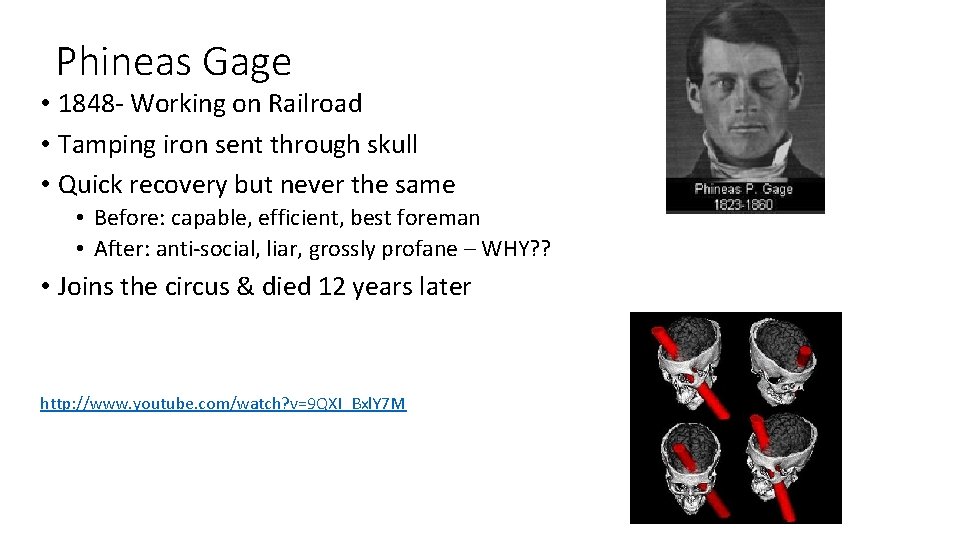 Phineas Gage • 1848 - Working on Railroad • Tamping iron sent through skull