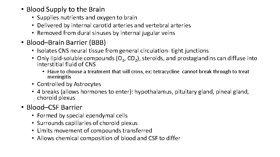  • Blood Supply to the Brain • Supplies nutrients and oxygen to brain