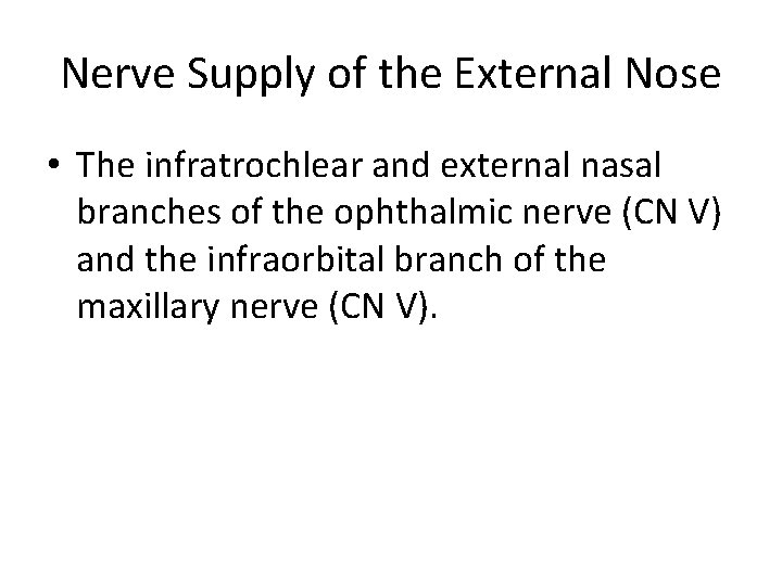 Nerve Supply of the External Nose • The infratrochlear and external nasal branches of
