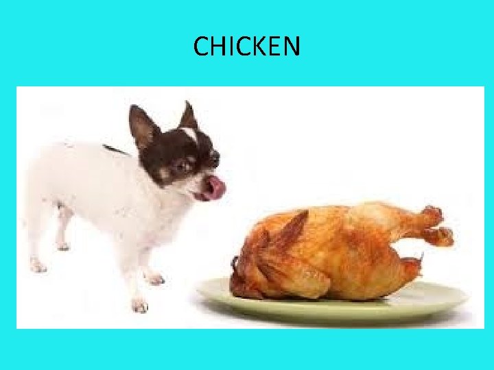 CHICKEN 