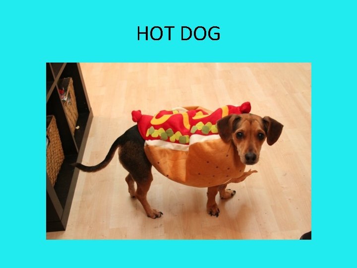 HOT DOG 