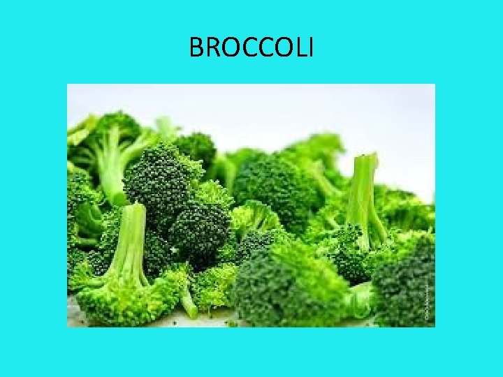 BROCCOLI 