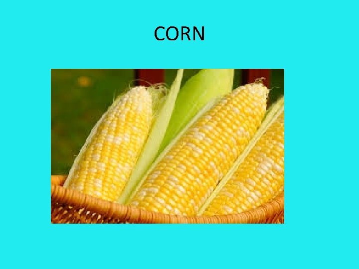 CORN 