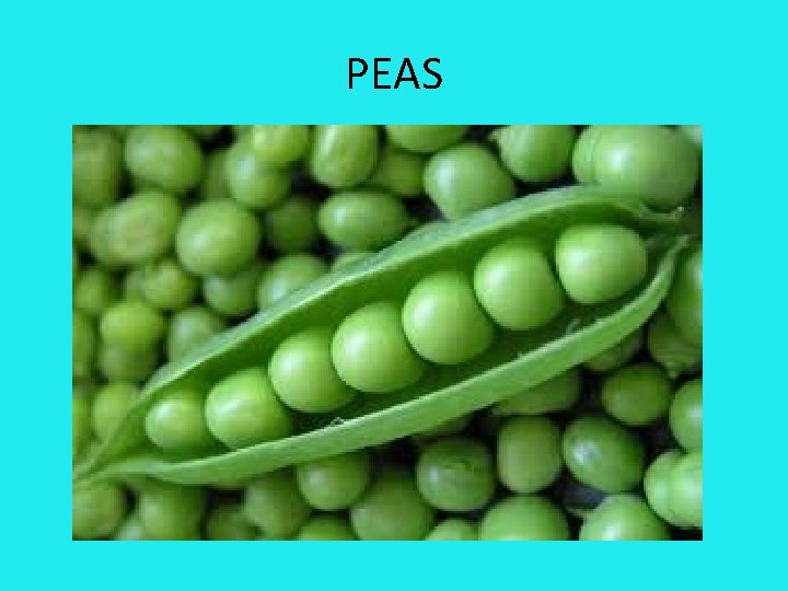 PEAS 