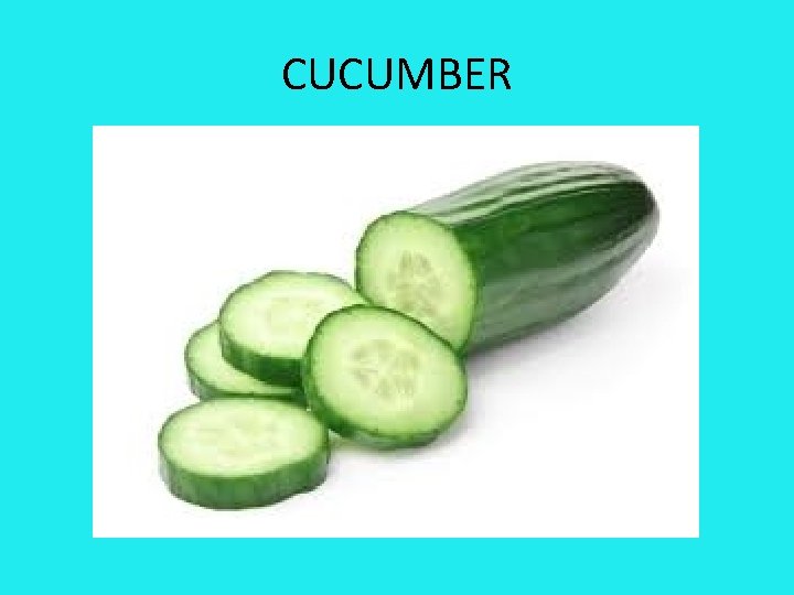 CUCUMBER 