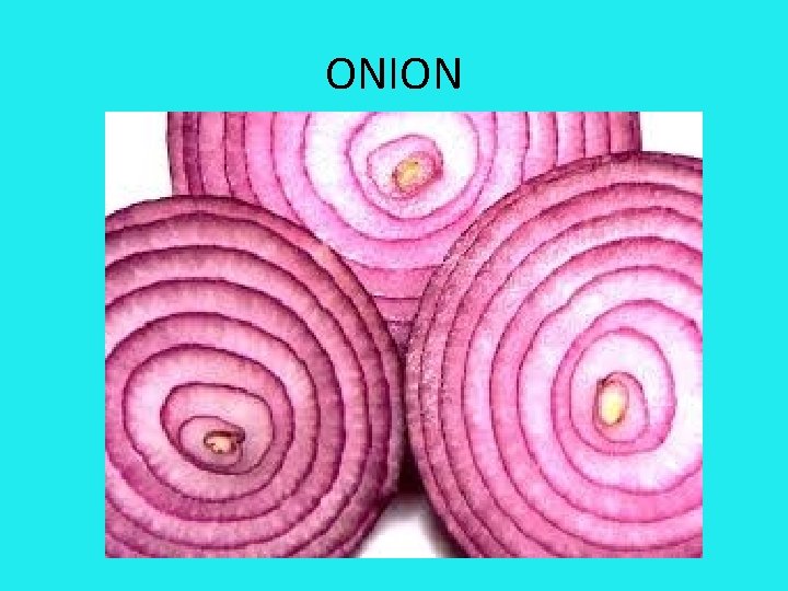 ONION 