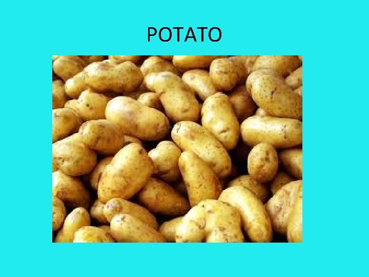 POTATO 
