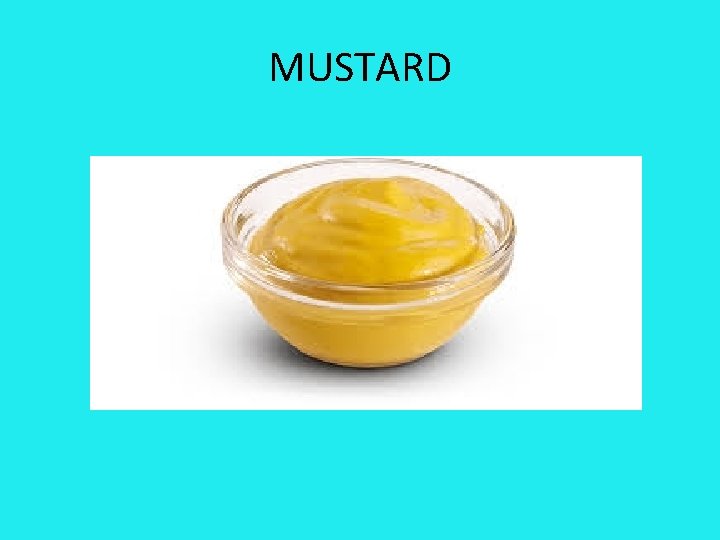 MUSTARD 