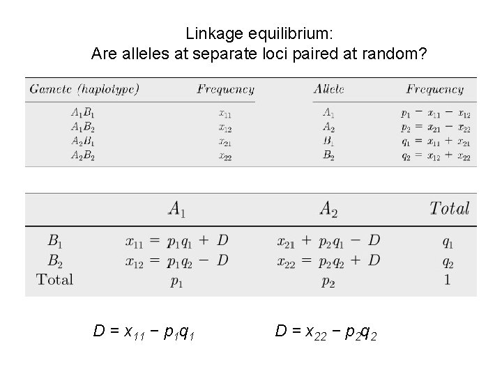 Linkage equilibrium: Are alleles at separate loci paired at random? D = x 11
