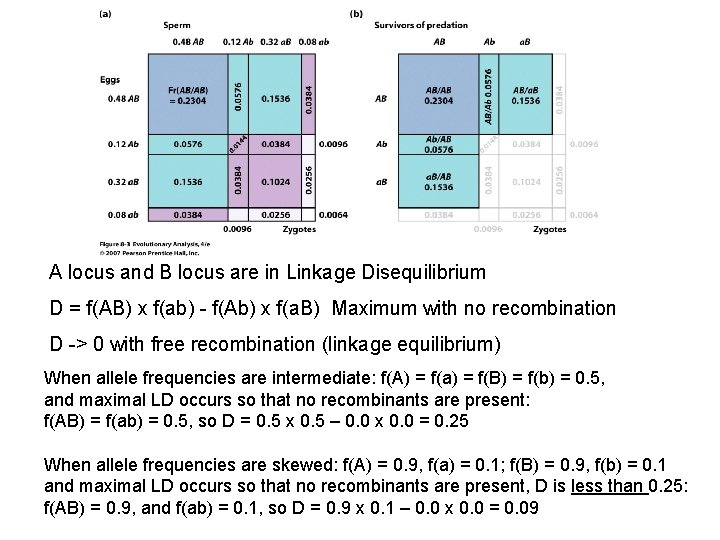 A locus and B locus are in Linkage Disequilibrium D = f(AB) x f(ab)