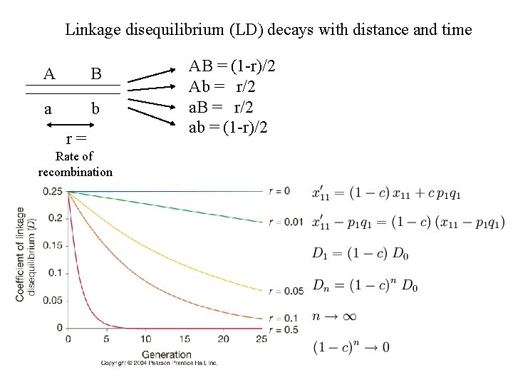 Linkage disequilibrium (LD) decays with distance and time A B a b r= Rate