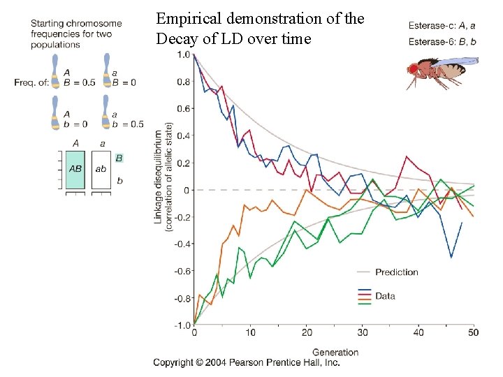 Empirical demonstration of the Decay of LD over time 