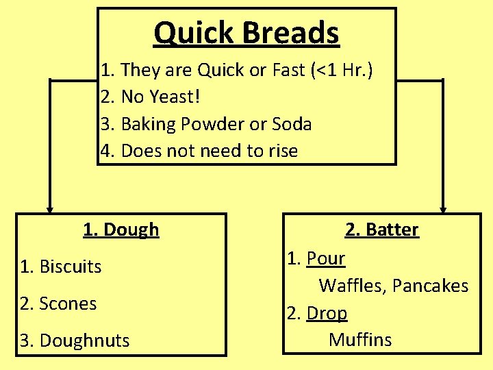 Quick Breads 1. They are Quick or Fast (<1 Hr. ) 2. No Yeast!