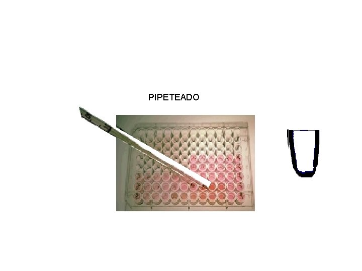 PIPETEADO 