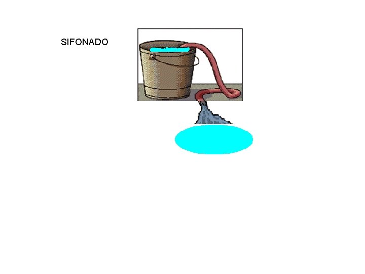 SIFONADO 