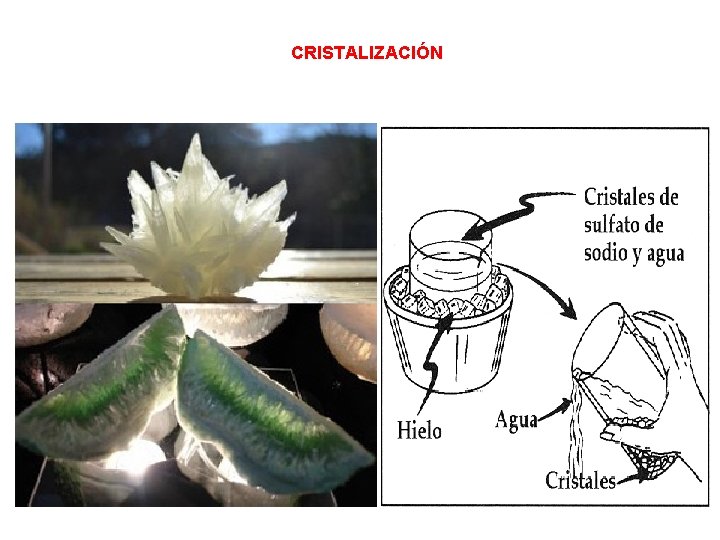 CRISTALIZACIÓN 