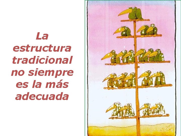 La estructura tradicional no siempre es la más adecuada 