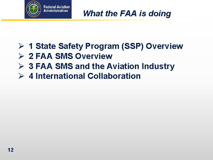 What the FAA is doing Ø Ø 12 1 State Safety Program (SSP) Overview