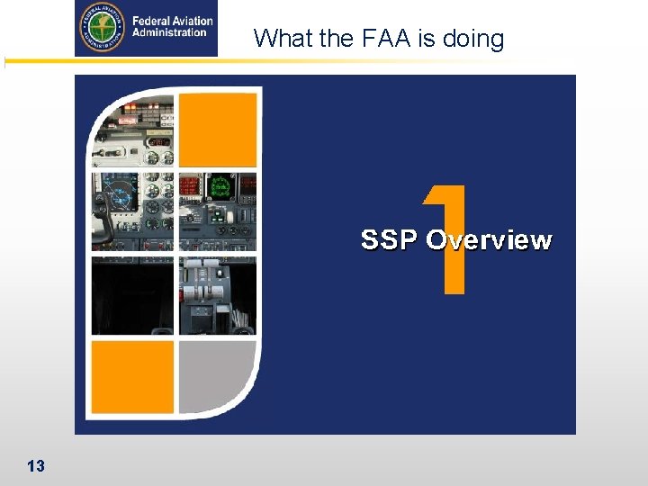What the FAA is doing 13 