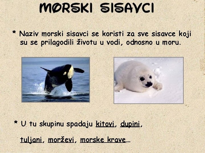 * Naziv morski sisavci se koristi za sve sisavce koji su se prilagodili životu