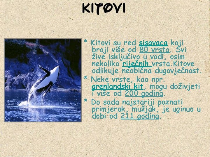 * Kitovi su red sisavaca koji broji više od 80 vrsta. Svi žive isključivo