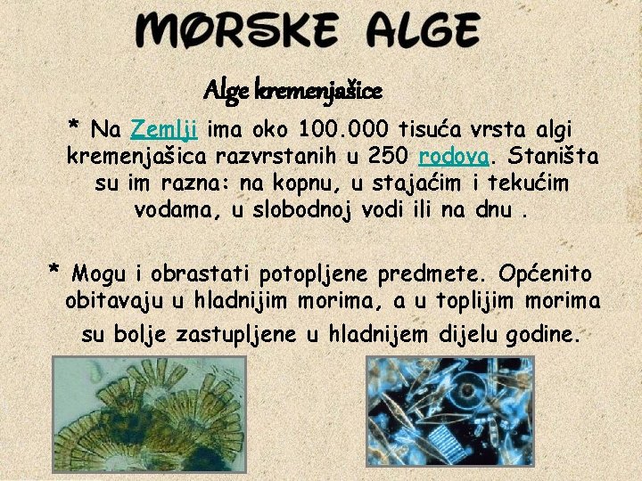 Alge kremenjašice * Na Zemlji ima oko 100. 000 tisuća vrsta algi kremenjašica razvrstanih