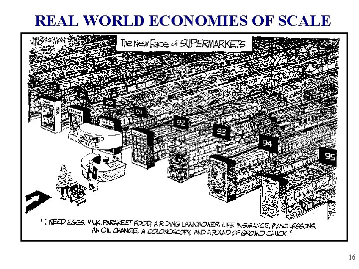 REAL WORLD ECONOMIES OF SCALE 16 