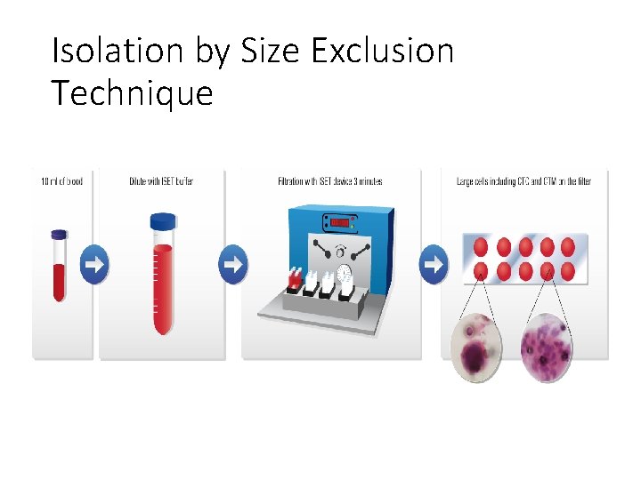 Isolation by Size Exclusion Technique 