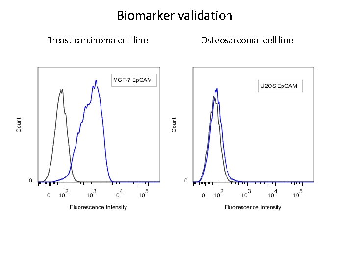 Biomarker validation Breast carcinoma cell line Osteosarcoma cell line 