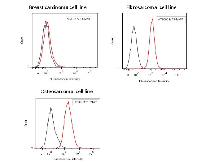 Breast carcinoma cell line Osteosarcoma cell line Fibrosarcoma cell line 