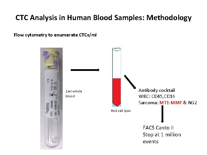 CTC Analysis in Human Blood Samples: Methodology Flow cytometry to enumerate CTCs/ml Antibody cocktail