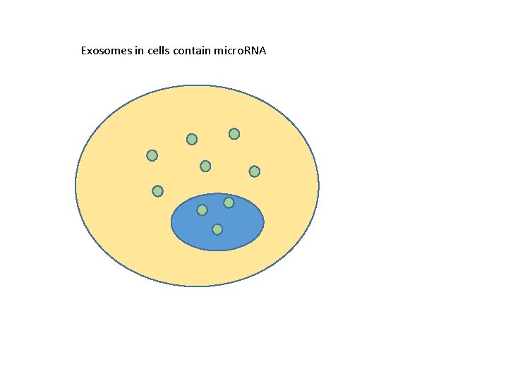 Exosomes in cells contain micro. RNA 