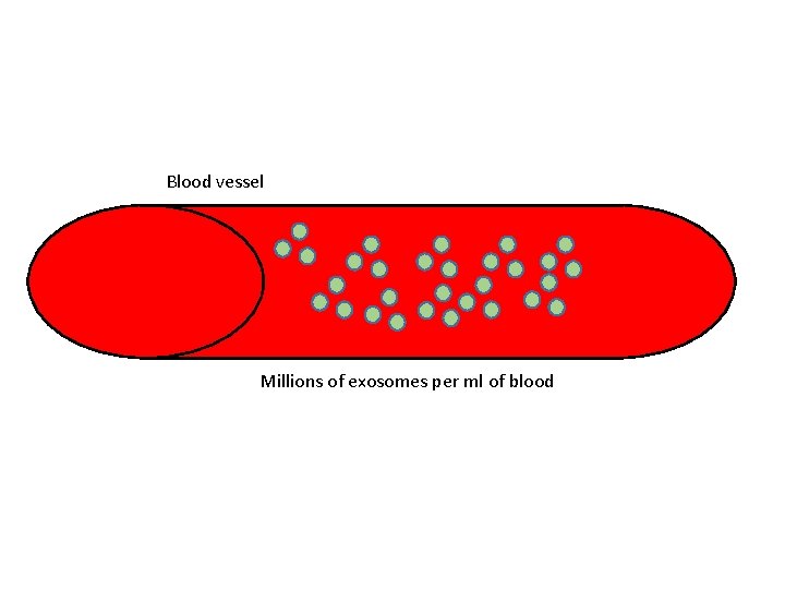 Blood vessel Millions of exosomes per ml of blood 