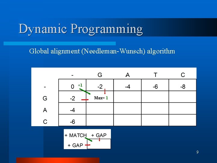 Dynamic Programming Global alignment (Needleman-Wunsch) algorithm +1 Max= 1 9 Dynamic Programming Global alignment (Needleman-Wunsch) algorithm +1 Max= 1 9