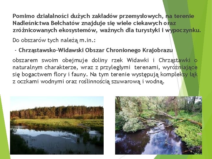 Pomimo działalności dużych zakładów przemysłowych, na terenie Nadleśnictwa Bełchatów znajduje się wiele ciekawych oraz