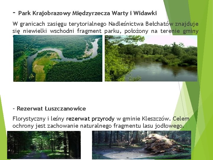 - Park Krajobrazowy Międzyrzecza Warty i Widawki W granicach zasięgu terytorialnego Nadleśnictwa Bełchatów znajduje